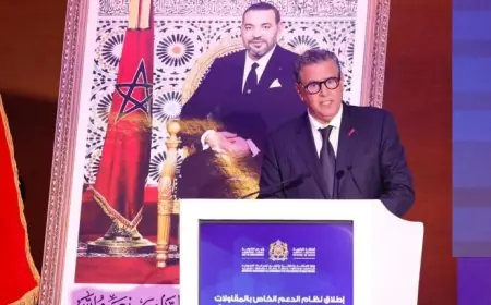 أخنوش يعطي انطلاقة نظام جديد لدعم المقاولات الصغرى والمتوسطة