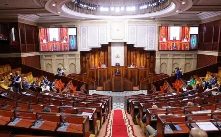 لجنة المالية والتنمية الاقتصادية بمجلس النواب تصادق على الجزء الأول من مشروع مالية 2026