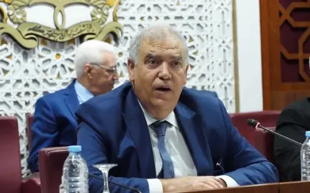 لفتيت: مشروع إصلاح قانون مجلس النواب يروم تخليق الحياة السياسية وتعزيز تمثيلية الشباب والنساء