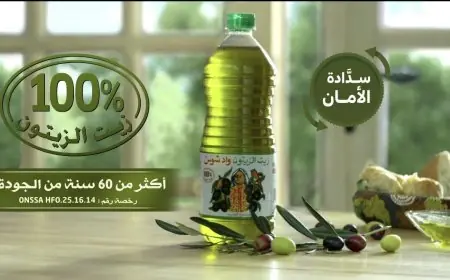 من تزعجه الشركات الكبرى بسوس؟
