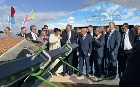 وزير الفلاحة يعطي الانطلاقة الرسمية للموسم الفلاحي 2025-2026