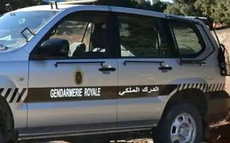 الدرك الملكي يجهض مخططا إجراميا لاستدراج واحتجاز ضحايا بالعيون