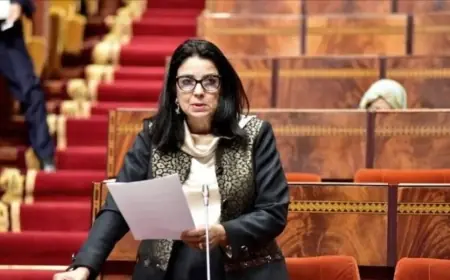 ضعف شبكة الهاتف في بعض مناطق مراكش يسائل السغروشني