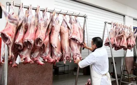 رغم الاستيراد المكثف.. أسعار اللحوم تواصل الارتفاع وتزيد الضغط على الأسر المغربية