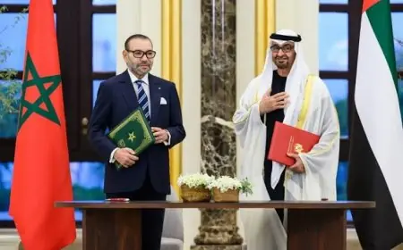 رئيس الإمارات يهنئ الملك محمد السادس بمناسبة عيد الاستقلال