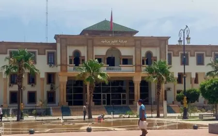 المحكمة الإدارية بالدار البيضاء تعزل رئيس جماعة برشيد ونوابه