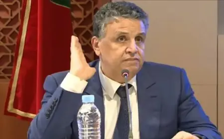 وهبي: تعديل القانون التنظيمي للمحكمة الدستورية يهدف لتعزيز كفاءتها وفاعليتها
