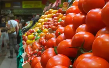 بعد تساقط أمطار الخير.. أسعار الطماطم تقفز إلى 8 دراهم بأسواق الدار البيضاء
