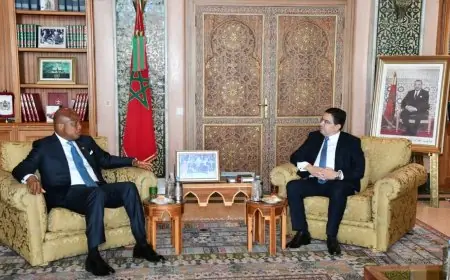 وزير خارجية غانا يشيد باعتماد مجلس الأمن للقرار 2797