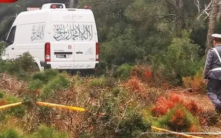 جريمة قتل مروعة تهز جماعة الغياث بأسفي