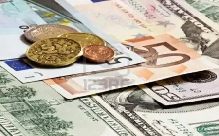 احتياطي المغرب من النقد الأجنبي يصل إلى 432,3 مليار درهم