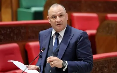 مزور: المغرب يقترب من الريادة الصناعية بفضل رؤية واضحة واستثمارات كبرى