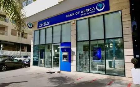 بنك إفريقيا يحقق أداء ماليا قويا خلال الأشهر التسعة الأولى من سمة 2025