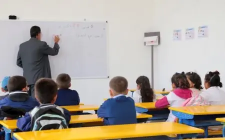 وزارة التربية الوطنية تستعين بالأساتذة المتقاعدين لتقديم دروس الدعم بالمدارس التابعة لبرنامج "الريادة"