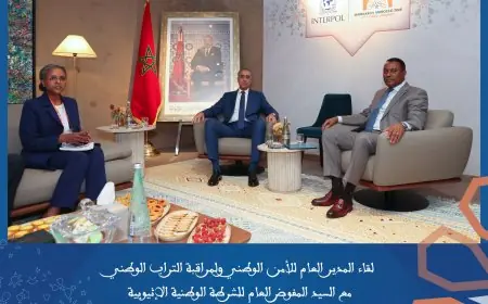 حموشي يعزز شراكات المغرب الأمنية خلال أشغال الجمعية العامة لأنتربول