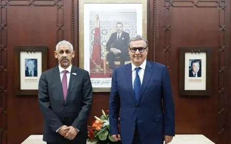 أخنوش يجري مباحثات مع رئيس البنك الإفريقي للتنمية لتعزيز الشراكة الاستثمارية