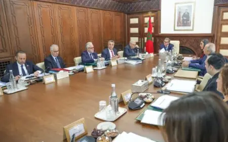 مجلس الحكومة يصادق على تعيينات جديدة في مناصب عليا بعدة قطاعات وزارية