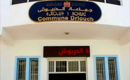 تنامي ظاهرة “الحريك” في صفوف بعض المستشارين بمجلس جماعة الدريوش يثير الجدل