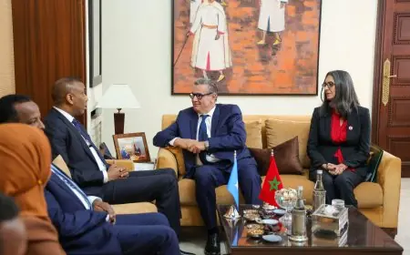 أخنوش يجري مباحثات مع رئيس وزراء الصومال لتعزيز التعاون الثنائي