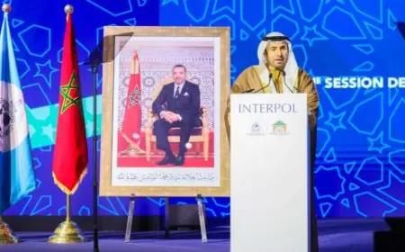 اللواء الريسي يشيد بدور المغرب في تعزيز الأمن الدولي خلال اختتام دورة الأنتربول 93