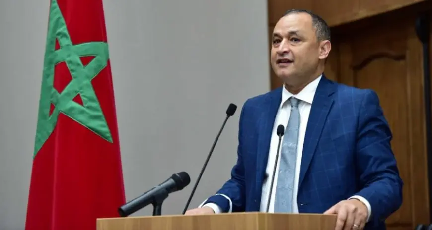 مزور: توسع الرقمنة والشمول الصحي للتجار بالمغرب يلامس 93 ألف مستفيد