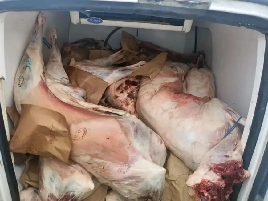 حجز كميات مهمة من اللحوم الفاسدة بمجزرة في مراكش
