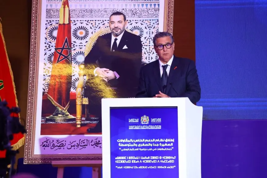 من الراشيدية.. رئيس الحكومة يطلق نظام دعم المقاولات الصغيرة جدًا والصغرى والمتوسطة
