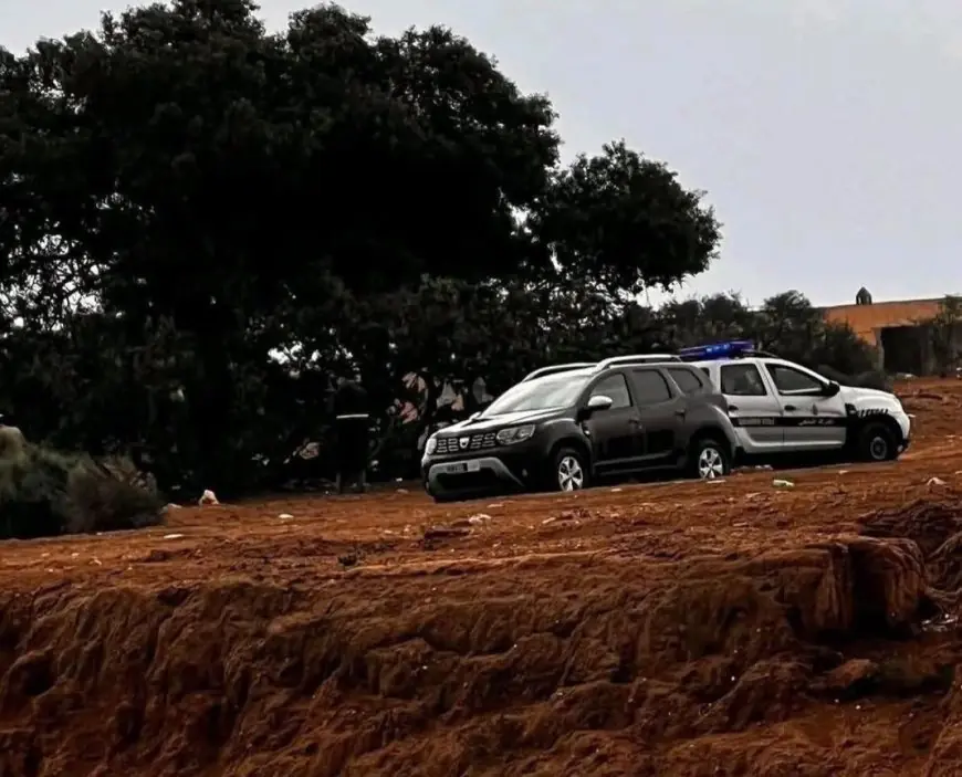 صاعقة رعدية تنهي حياة شخص بدون مأوى وكلبين بإنشادن