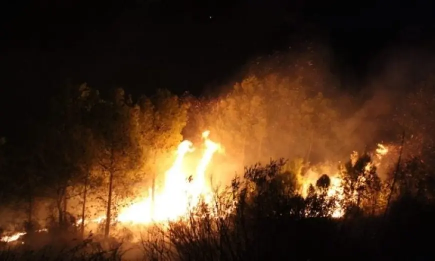 اندلاع 17 حريقا في 8 ولايات بالجزائر