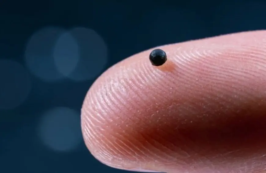علماء يخترعون روبوتا بحجم حبة رمل قادر على إيصال الدواء داخل جسمك