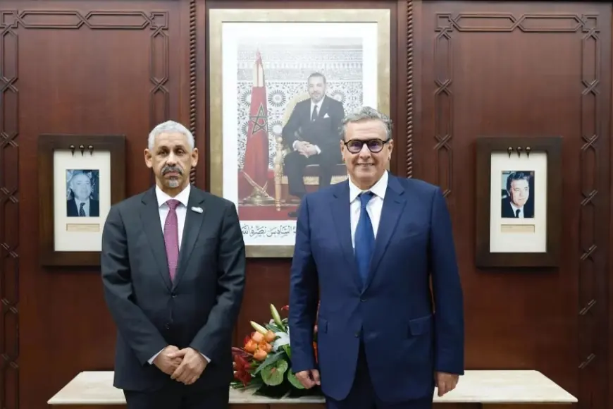 أخنوش يجري مباحثات مع رئيس البنك الإفريقي للتنمية لتعزيز الشراكة الاستثمارية