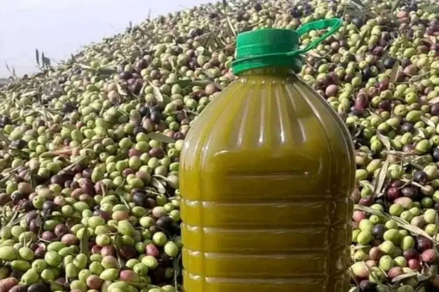 تحذيرات من زيوت مغشوشة بالأسواق المغربية