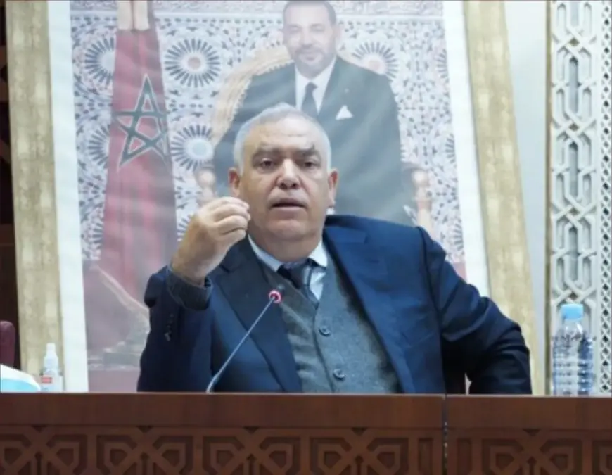 لفتيت: لا يمكن منع شخص من الترشح للبرلمان لمجرد أنه غني