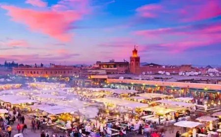 الناتج الداخلي الإجمالي لنشاط القطاع السياحي يرتفع إلى 7,3 في المائة