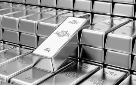 ارتفاع قياسي لأسعار الفضة إلى أكثر من 57 دولارا للأونصة
