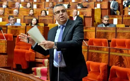 وهبي: الحكومة تستعد لإخراج قانون يجرم الابتزاز الرقمي