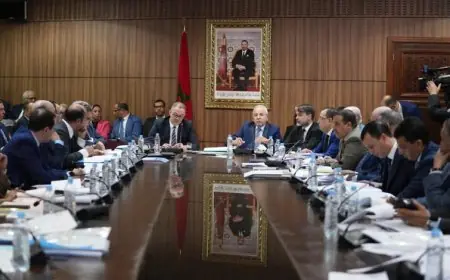 لجنة المالية بمجلس المستشارين تصادق على الجزء الأول من مشروع قانون المالية