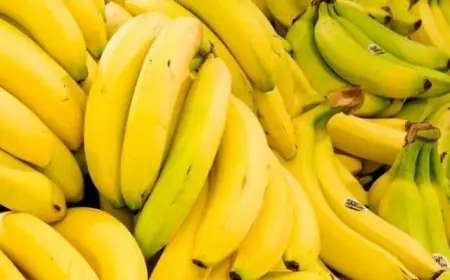 تقرير يكشف علاقة اللون الأمثل للموز بفوائده الصحية
