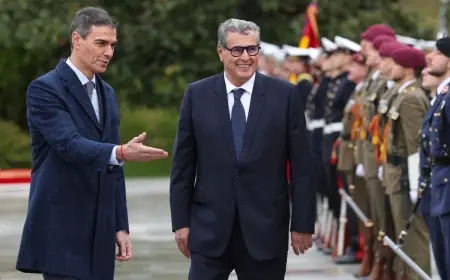 إسبانيا تشيد بقرار مجلس الأمن وتعتبر الحكم الذاتي المغربي الحل الأكثر واقعية لحل نزاع الصحراء