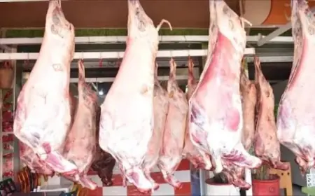استقرار نسبي في أسعار اللحوم الحمراء بأسواق الجملة في الدار البيضاء