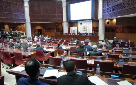 لجنة المالية توافق على خفض رسم استيراد الهواتف الذكية إلى 2,5%