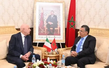 مباحثات ثنائية تجمع وزير العدل وهبي ونظيره الإيطالي لتعزيز التعاون القضائي