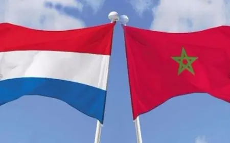 هولندا تجدد دعمها لمبادرة الحكم الذاتي بالصحراء المغربية
