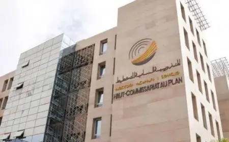 المندوبية السامية للتخطيط: نمو الناتج الداخلي الإجمالي 7,9 في المائة في 2024