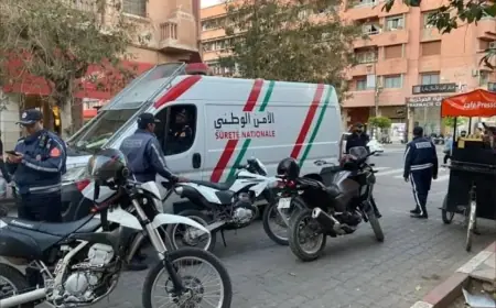 دعوات لوزير النقل قيوح لكشف حقيقة ثمن رخصة السياقة للدراجات النارية