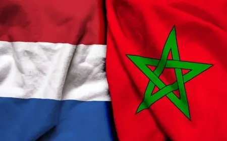 المغرب والأراضي المنخفضة يعززان علاقاتهما الثنائية نحو شراكة استراتيجية