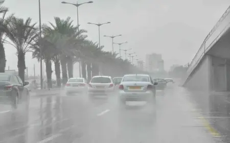 نشرة إنذارية: زخات رعدية وتساقطات ثلجية مرتقبة بعدد من مناطق المملكة