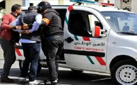 توقيف سائق متهور رفض الامتثال وحاول تعريض شرطي للخطر بالناظور