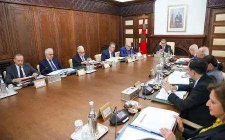 مجلس الحكومة يصادق على تعيينات جديدة في مناصب عليا