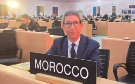 الخبير المغربي "أحمد سكونتي" يُنتخب لعضوية الهيئة التقييمية لليونسكو للتراث الثقافي غير المادي لولاية جديدة